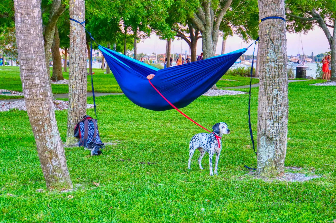 Bayfront Park 2