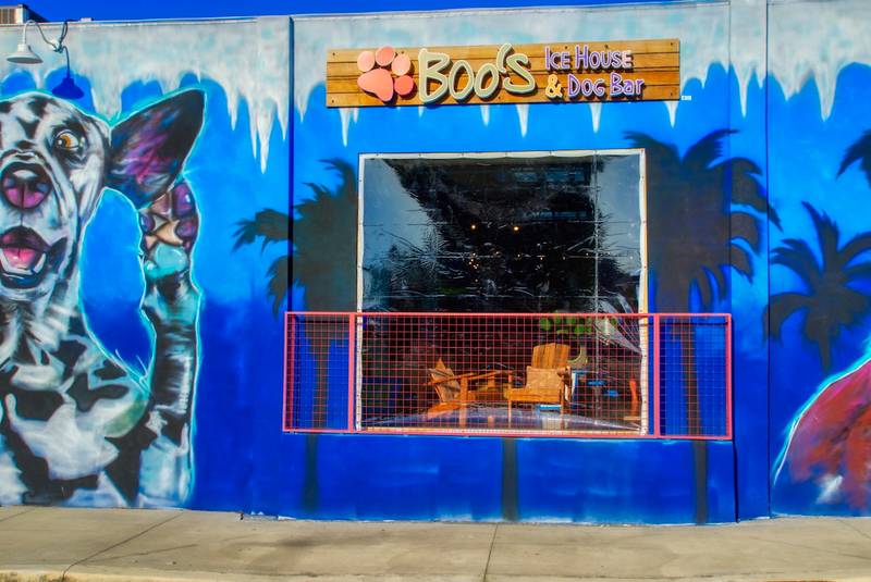 boo's icea house & dog bar